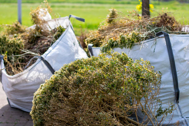 Best Office Junk Removal  in Dunlap, IA